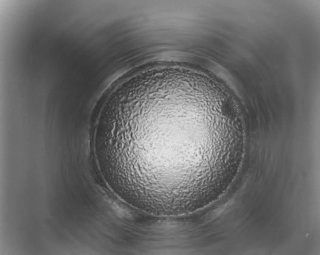 X0000072980829200607282345