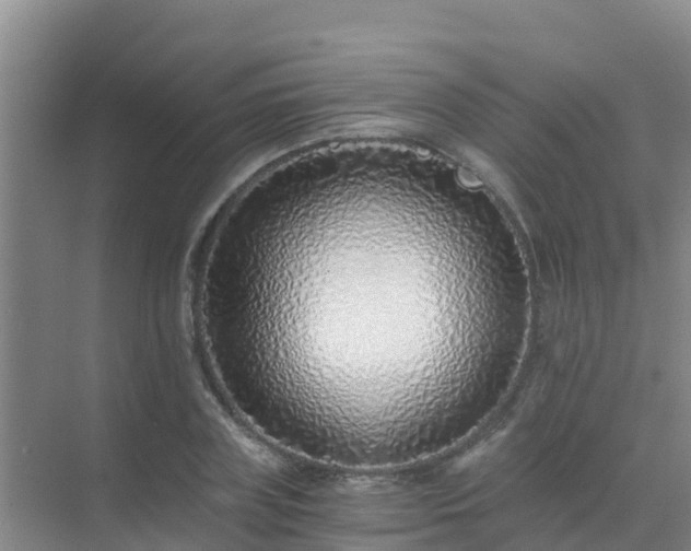 X0000072980835200607282345
