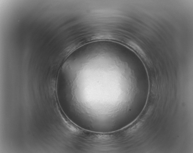 X0000072980849200607282346