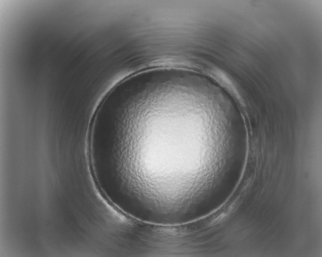 X0000072980855200607282346