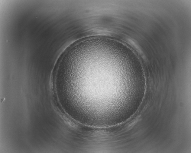 X0000072980883200607282345