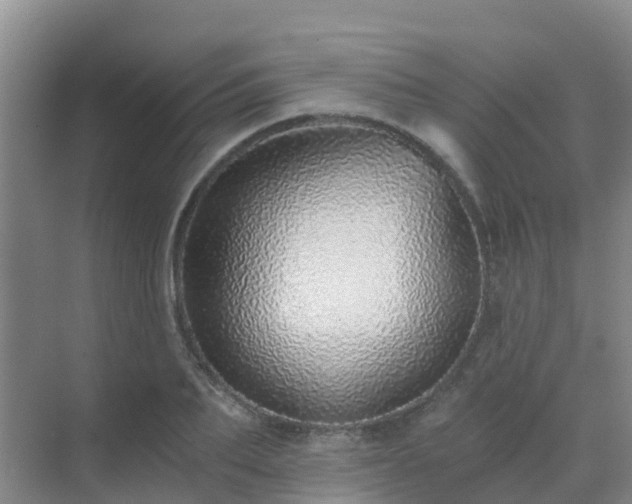 X0000072980887200607282345