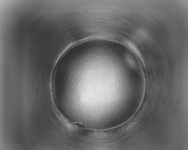 X0000072980907200607282344