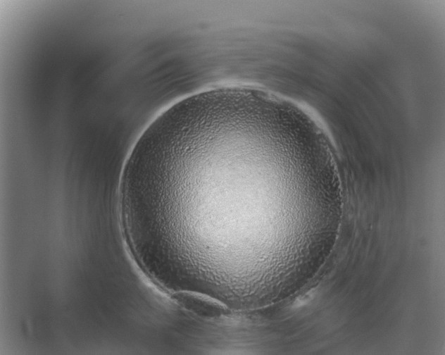 X0000072980911200607282344