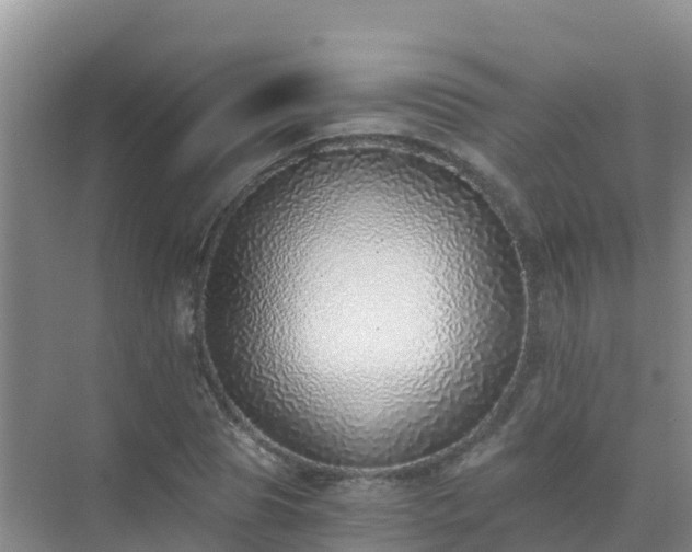 X0000072980929200607282344