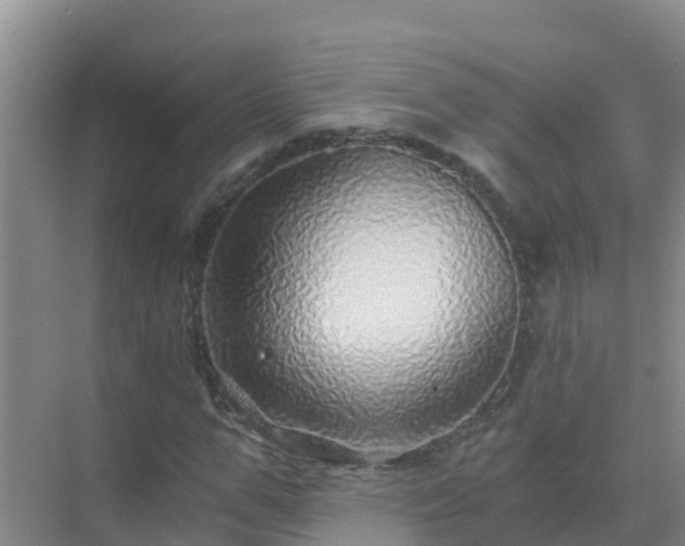 X0000072980967200607282343