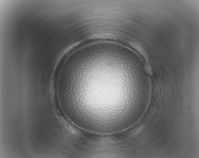 X0000072980979200607282343