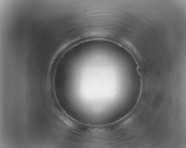 X0000072981027200607282342