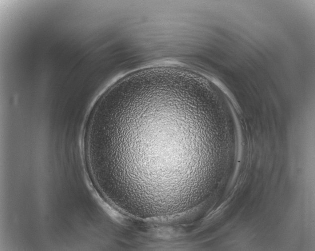 X0000072981054200607282343