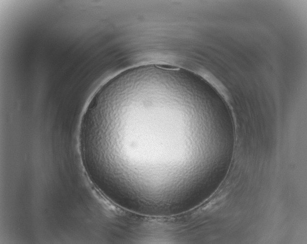 X0000072981104200607282341