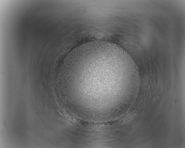 X0000072981105200607282340