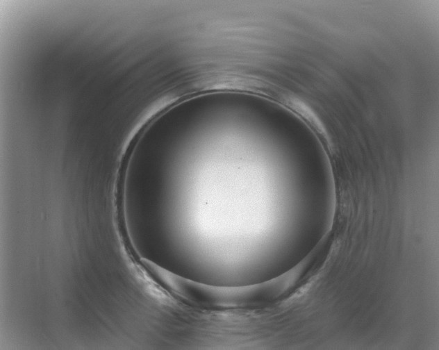 X0000072981138200607282341