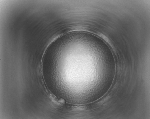X0000072981145200607282341