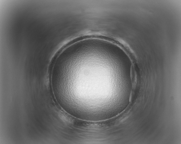 X0000072981167200607282340