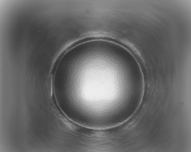 X0000072981175200607282340