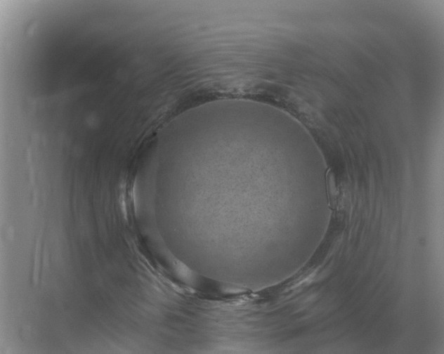 X0000072981202200607282339