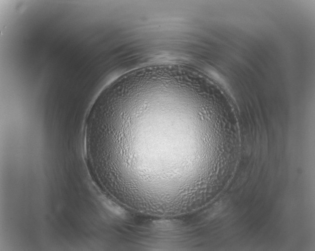X0000072981227200607282339