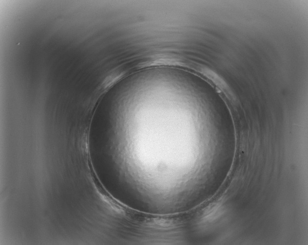 X0000072981241200607282339