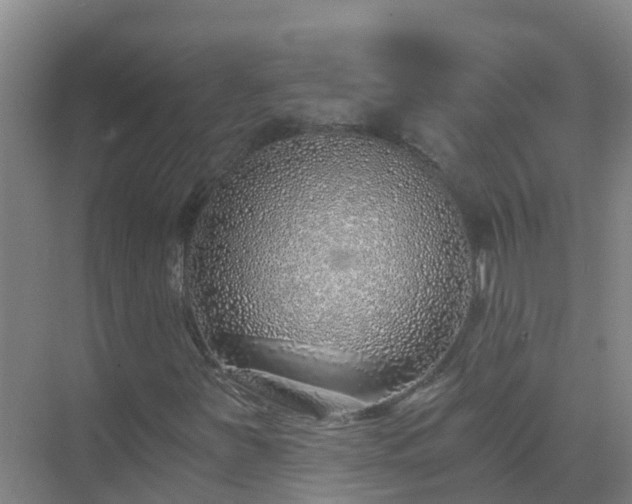 X0000072981251200607282339