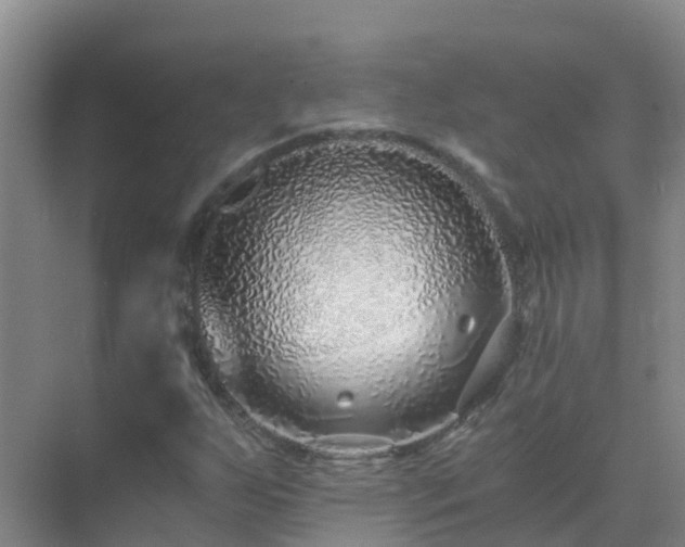X0000072981255200607282339