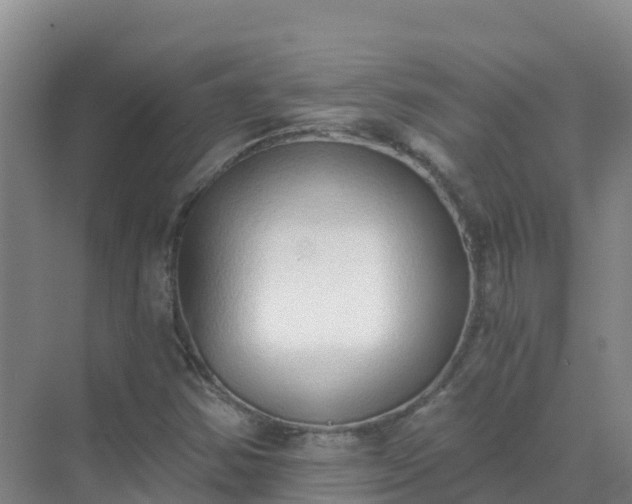 X0000072981354200607282337