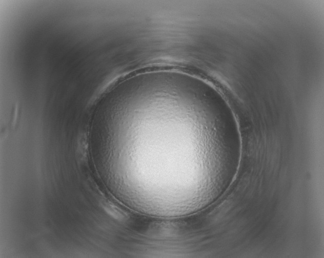 X0000072981355200607282337