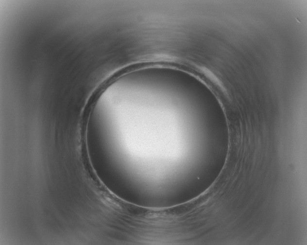 X0000072981364200607282337