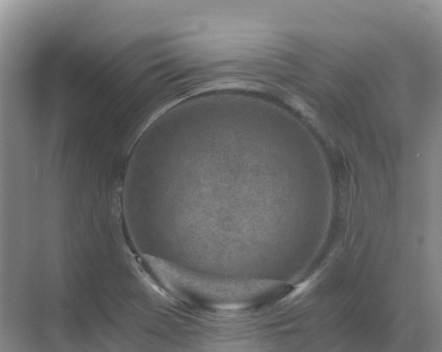 X0000072981369200607282337