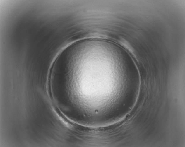 X0000072981379200607282336