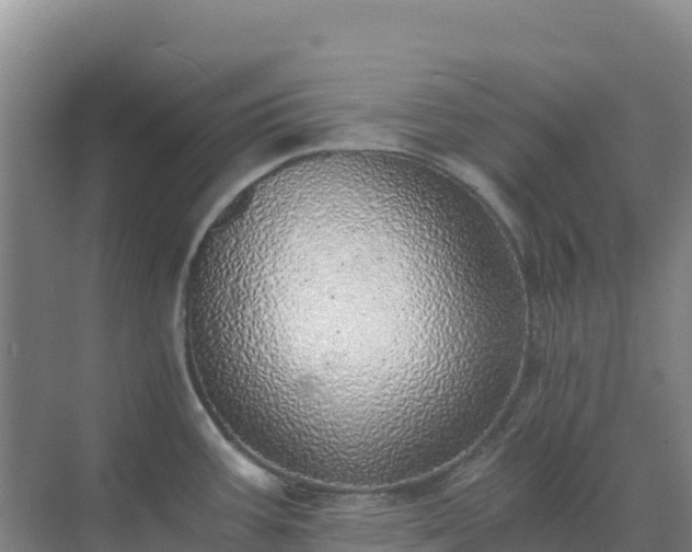 X0000072981387200607282336
