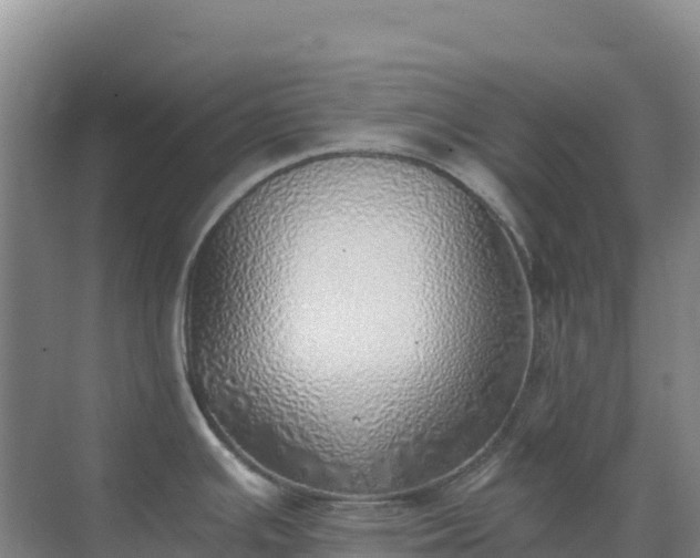 X0000072981391200607282336