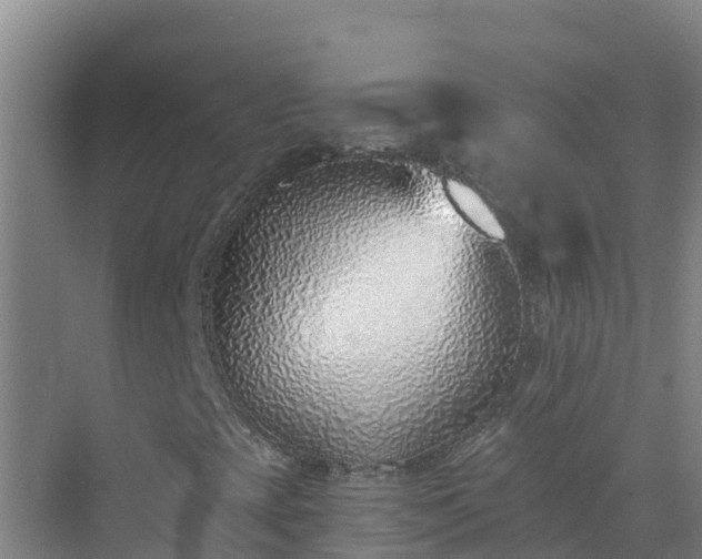 X0000072981393200607282335