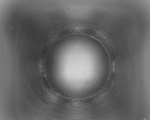 X0000072981395200607282336
