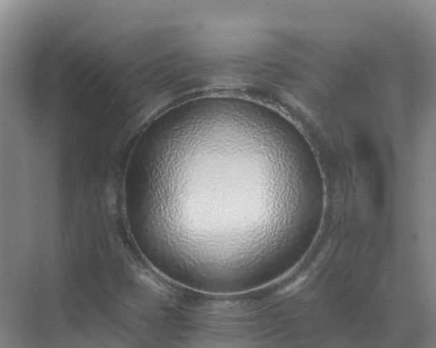 X0000072981401200607282336