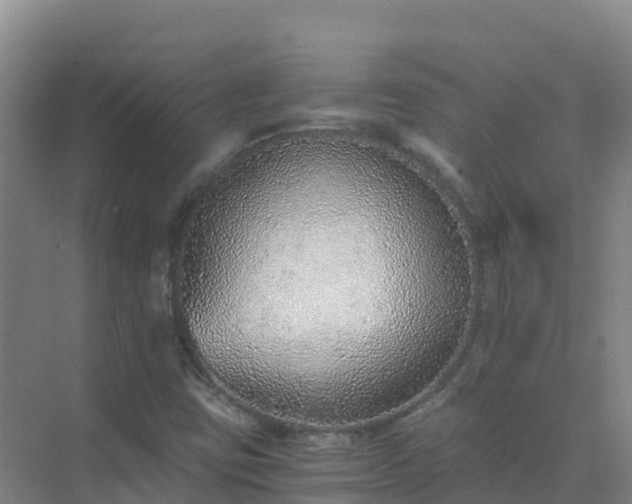 X0000072981403200607282336