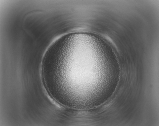 X0000072981421200607282336