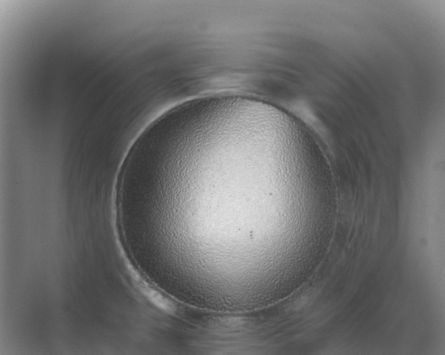 X0000072981431200607282336
