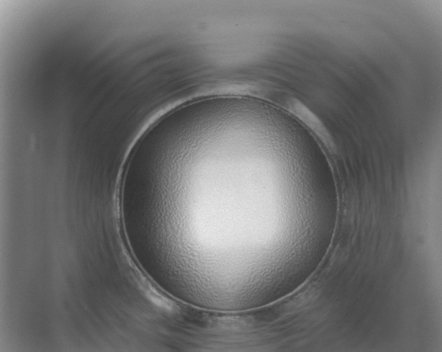 X0000072981436200607282336