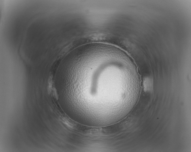X0000072981444200607282335