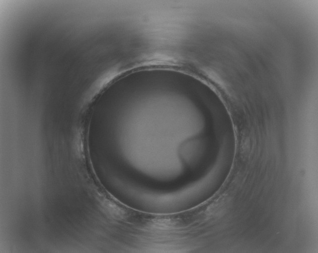 X0000072981455200607282335