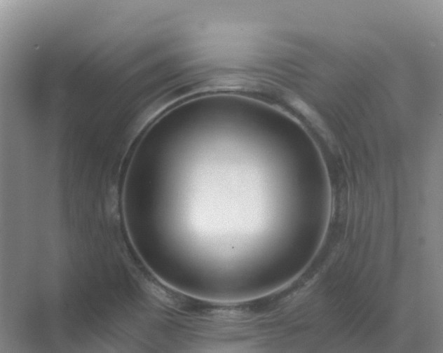 X0000072981465200607282335