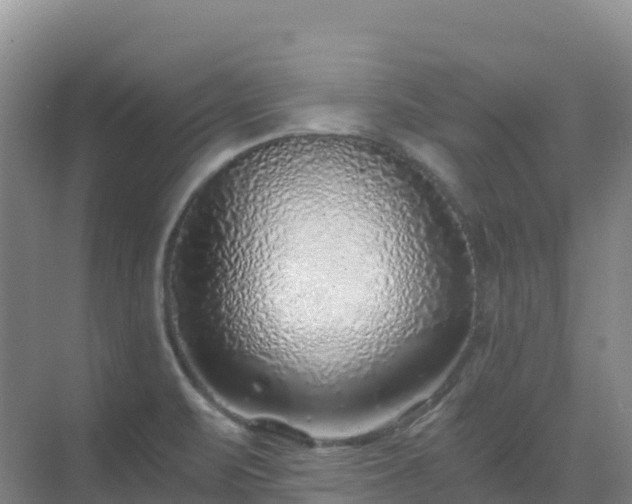 X0000072981471200607282335