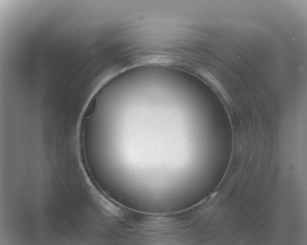 X0000072981475200607282335