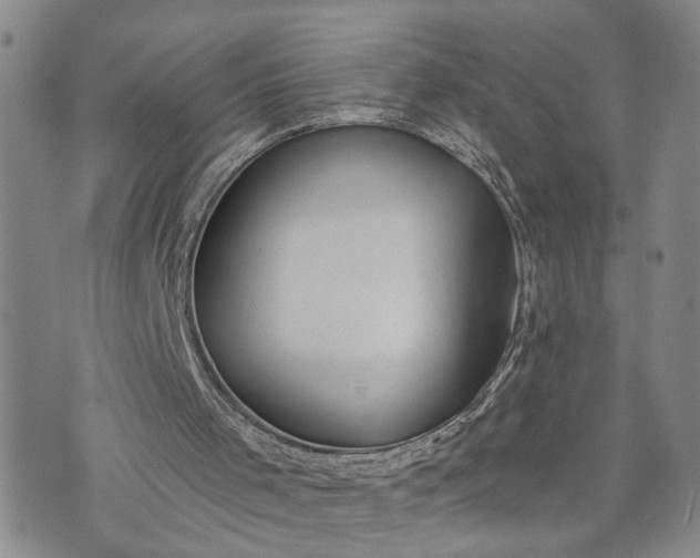 X0000072980001200608041255