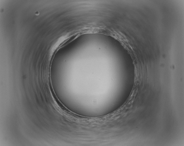 X0000072980003200608041255