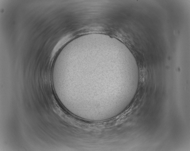 X0000072980004200608041255