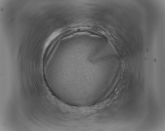 X0000072980006200608041255