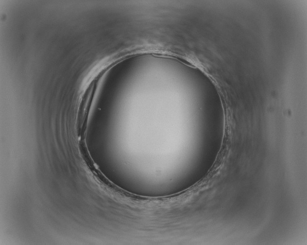 X0000072980007200608041255