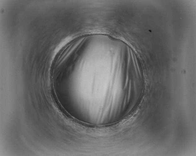 X0000072980008200608041254