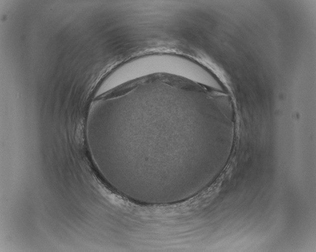 X0000072980009200608041254